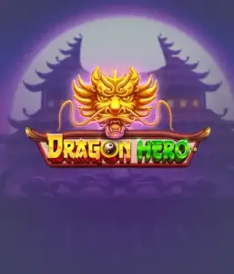 Join a legendary quest with the Dragon Hero game by Pragmatic Play, featuring breathtaking visuals of ancient dragons and epic encounters. Venture into a world where magic meets excitement, with symbols like enchanted weapons, mystical creatures, and treasures for a mesmerizing adventure.