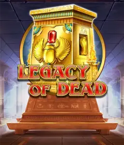 Try  Legacy of Dead game by Play'n GO featuring complimentary spins and expanding symbols, beginning with bets from $0.10.